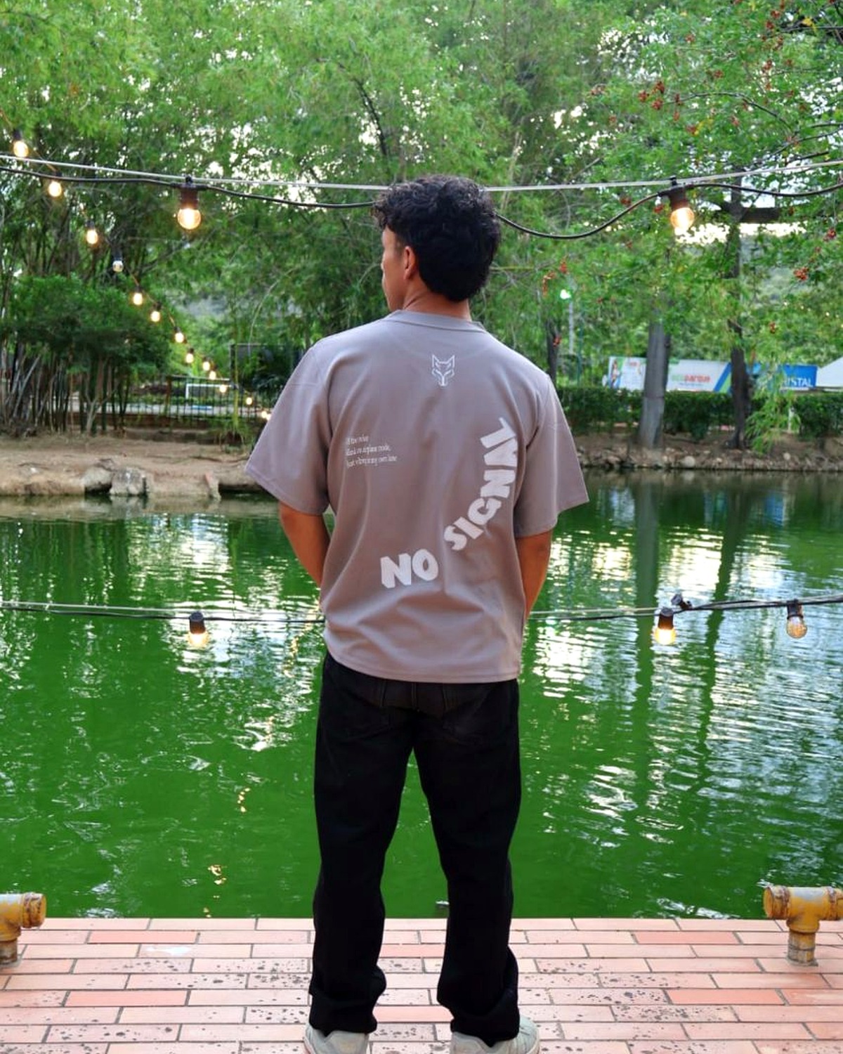 NO SIGNAL — vista 4