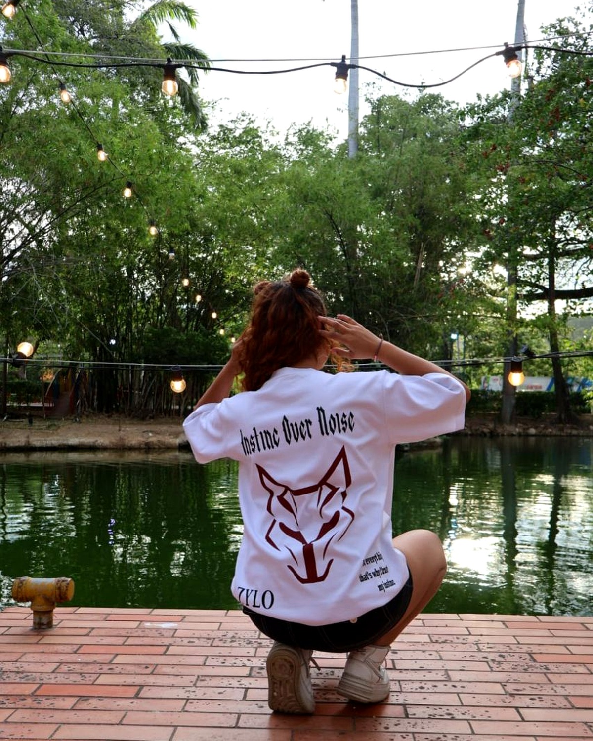 RED FOX — vista 4